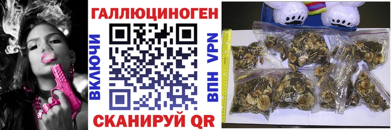 Псилоцибиновые грибы ЛСД площадка телеграм Беслан